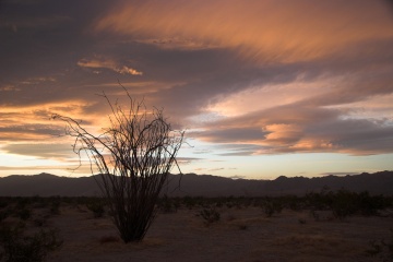 Sunset clouds